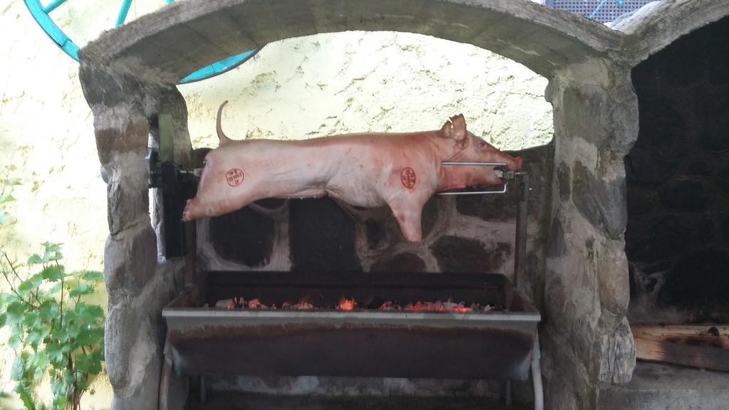 Gasthof Muster-Stueberl Predlitz Exteriör bild